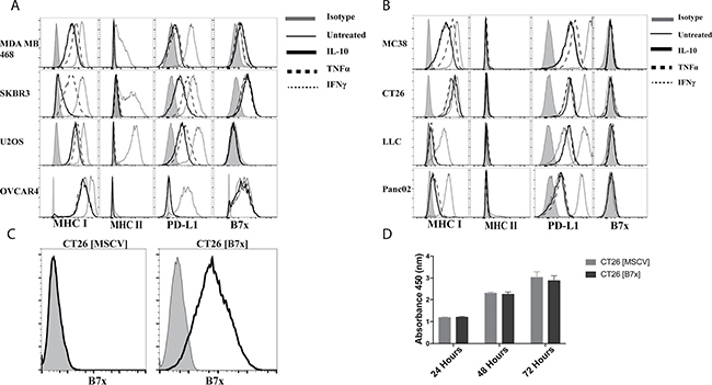 B7x expression is unaffected by cytokine stimulation and does not affect proliferation in vitro.