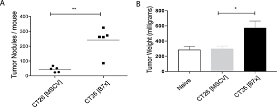 Tumor-expressed B7x increases pulmonary metastases.