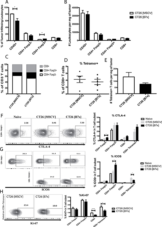 B7x increases percentage of Tregs and decreases ICOS expression and proliferation in antigen-specific CD8 T cells.
