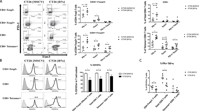 B7x influences antigen-specific T cell exhaustion and inhibits co-expression of pro-inflammatory cytokines in CD4 and CD8 T cells.