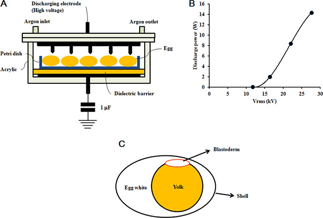 Non-thermal DBD plasma treatment.