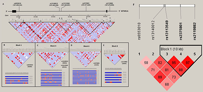 MTNR1A gene structure and linkage disequilibrium map constructed from 167 selected SNP tags.