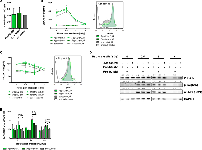 Ppp4r2 suppression regulates DNA damage response in normal murine hematopoietic cells.