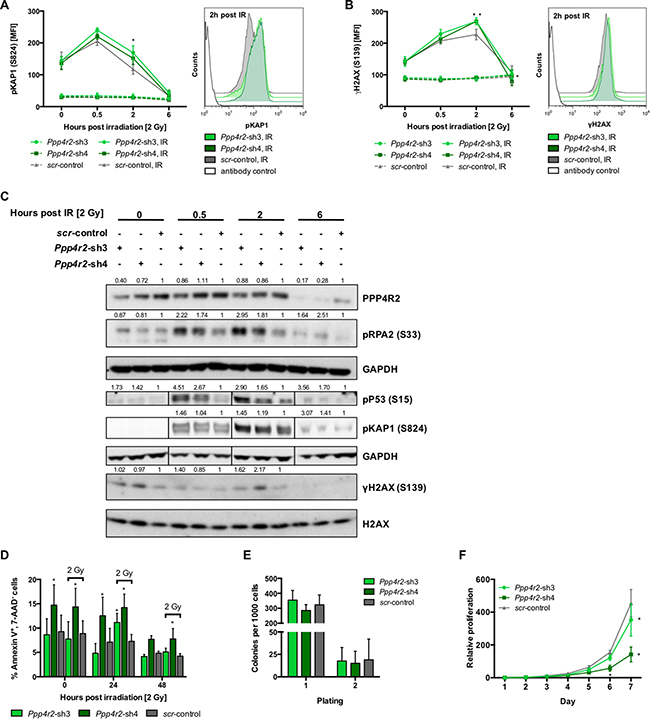 Ppp4r2 loss-of-function enhances DNA damage in murine leukemic bone marrow cells.