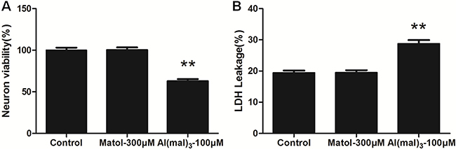 MTT assay and LDH leakage rate of primary cultured hippocampus neuron treated with Al(mal)3 and maltol.