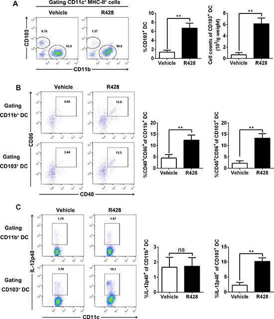 Axl inhibition promotes CD103+ DC accumulation and activation.