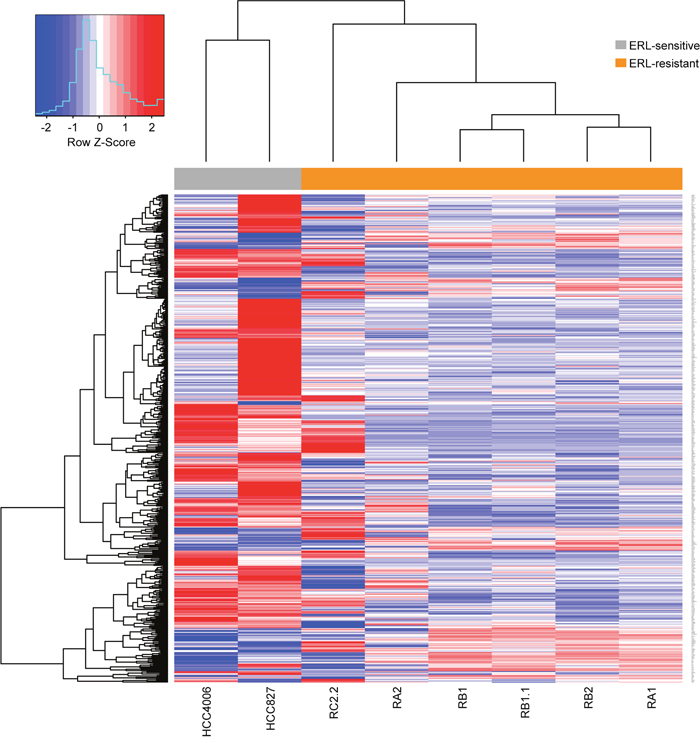 Differentially expressed genes in erlotinib-resistant NSCLC cell lines.