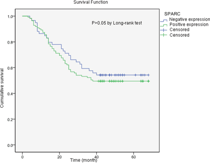 The Kaplan-Meier survival curves of two groups of gastric cancer patients according to the tissue expression of SPARC protein.