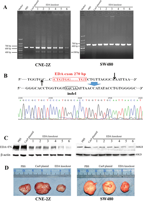 Figure 5: