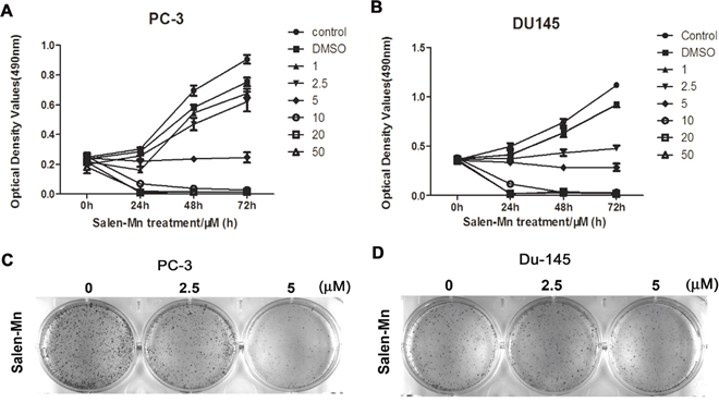 The inhibitory effects of Salen-Mn on proliferation of PC-3 and DU145 prostate cancer cells.