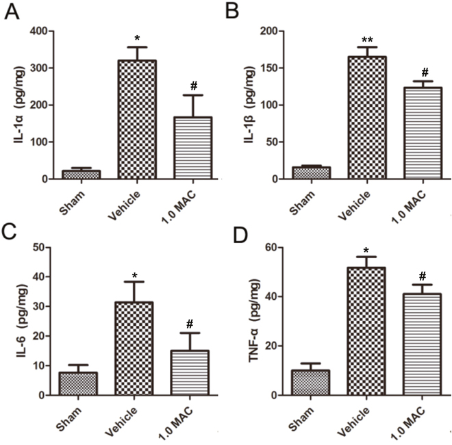 SF-PreCon significantly inhibits the secretion of inflammatory cytokines in the injured spinal cord tissues after tSCI.