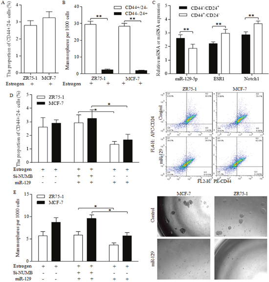 Suppressive miR-129 functions through inhibition on ESR1 and NOTCH signaling in breast cancer stem cells.