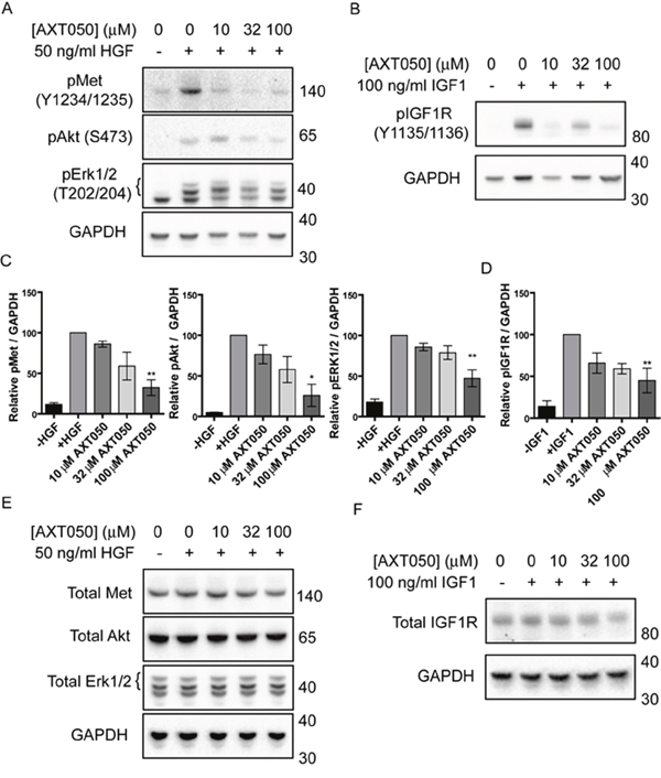 AXT050 inhibits IGF1R and c-Met signaling in HCC cells.