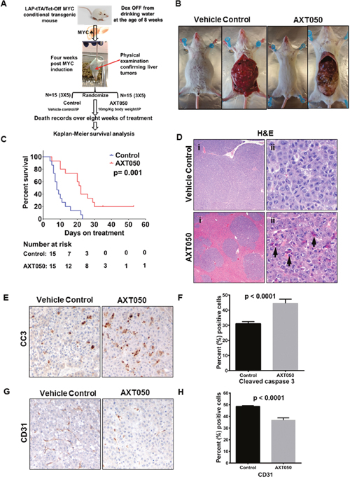 AXT050 improved survival of mice with Myc-induced autochthonous liver tumors, reduced HCC tumor microvascular density, and increased apoptosis.