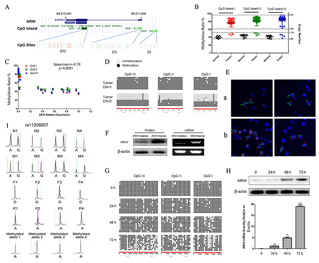 ARHI retained a hypermethylation copy in sporadic PCC.