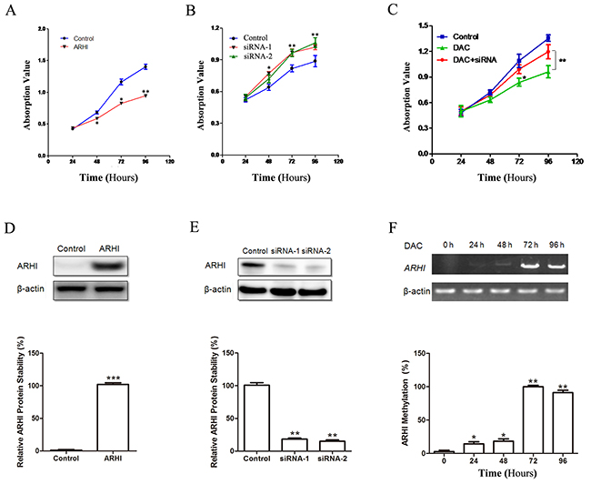 ARHI inhibited PHCP proliferation.