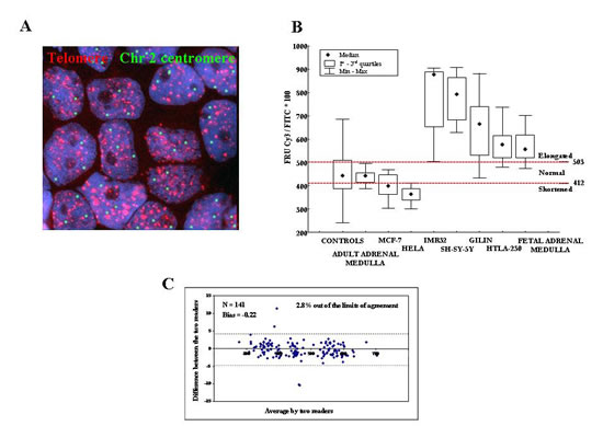 A: Interphase Quantitative Fluorescence