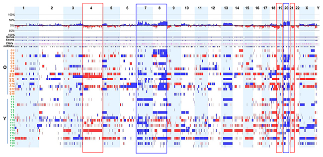 Genome-wide DNA CNAs across 38 GC samples.
