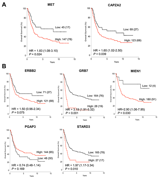 Association between expression of genes co-amplified with MET or ERBB2 and overall survival in patients with GC.