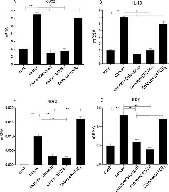 Induction of immunosuppressive factors by cancer-associatedascites cells.