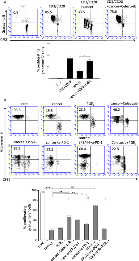 Effect of inhibition of COX2, the EP2 and EP4 (EP2/4-I), and PD-1 on CD3/CD28-induced proliferation of granzyme B+ CTL (percentages) from autologous na&#x00EF;ve CD8+ T cells.