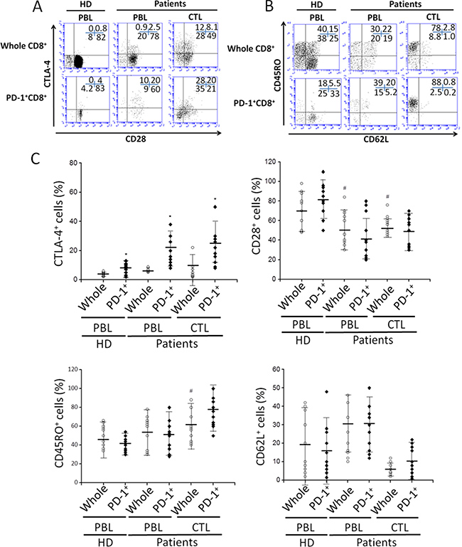 The phenotypic characterization of PD-1+CD8+ cells in PBLs and tumor infiltrating CTLs.