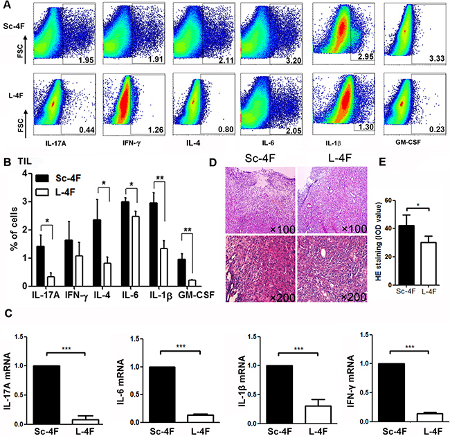 L-4F reduces inflammation in a mouse model of pancreatic cancer.