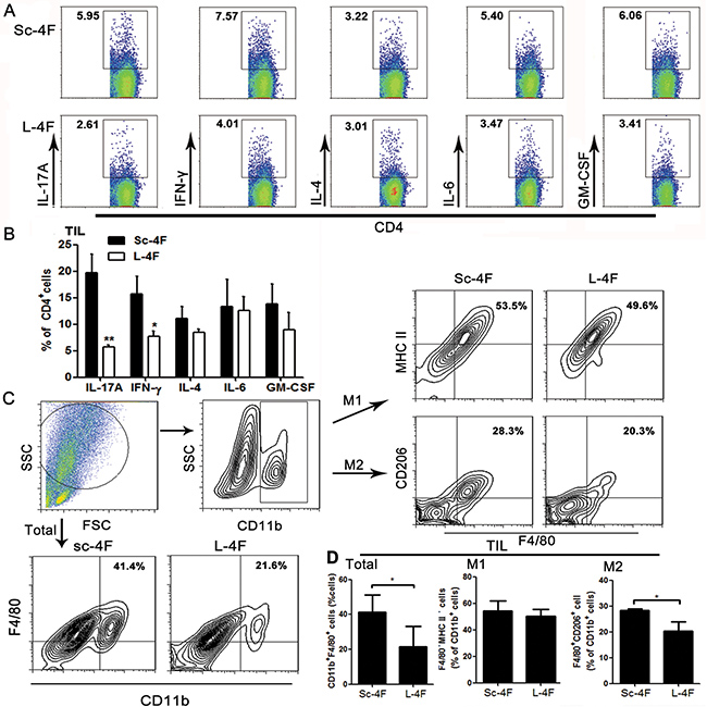 L-4F decreases Th17 cell, Th1 cell and TAM populations in a mouse pancreatic cancer model.