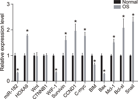 RT-qPCR analysis of miR-182, WIF-1, BIM, Bax, HOXA9, Wnt, &#x03B2;-catenin, Survivin, Cyclin D1, c-Myc, Mcl-1, Bcl-xL, and Snail expression in OS compared to normal tissue.