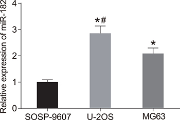MiR-182 expression in SOSP-9607, U-2OS, and MG63 cells.