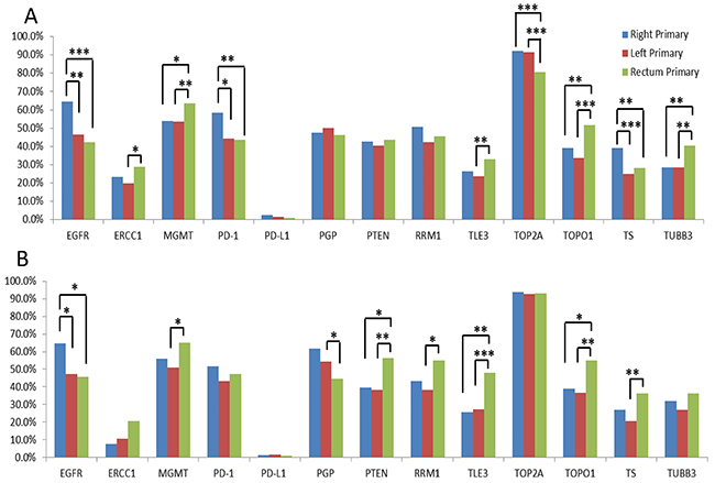 Protein expression rates in primary tumors of the right colon, left colon, and rectum.