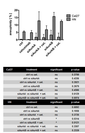 Fig. 4: Treatment caused aneuploidy only in the HN cell line with the Phe31Ile polymorphism.