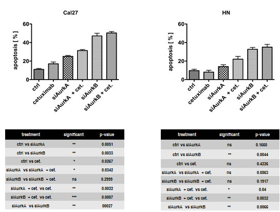 Fig. 5: Apoptosis was detectable by flow cytometry after the knockdown of the respective Aurora kinase.