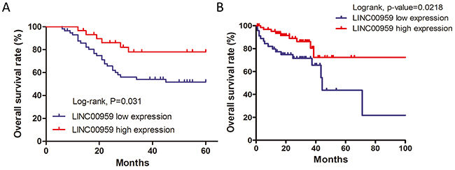 LINC00959 prognostic value in CRC patients.