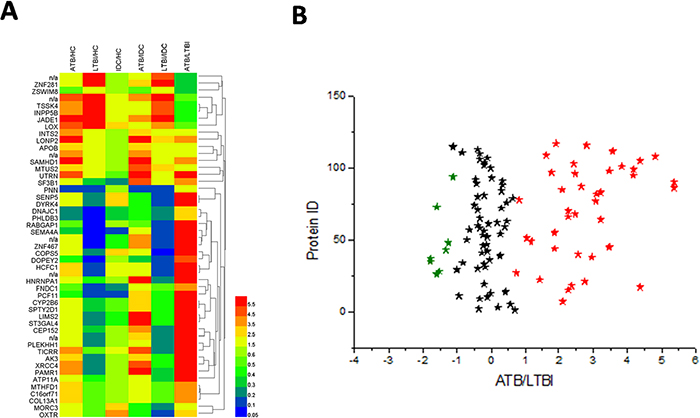 Heat map and volcano plot of the 49 identified proteins.