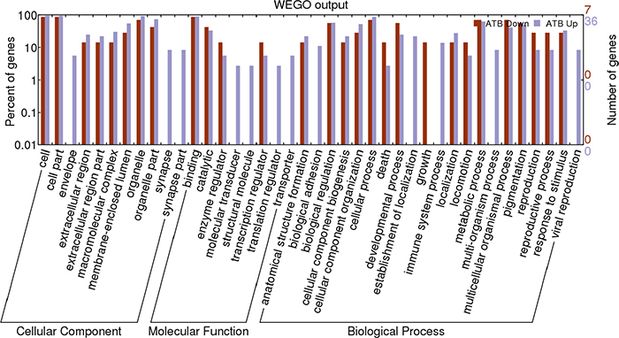 Web Gene Ontology Annotation Plot (WEGO) classification of differentially expressed proteins by label-free quantitative proteomics experiments between ATB and LTBI.