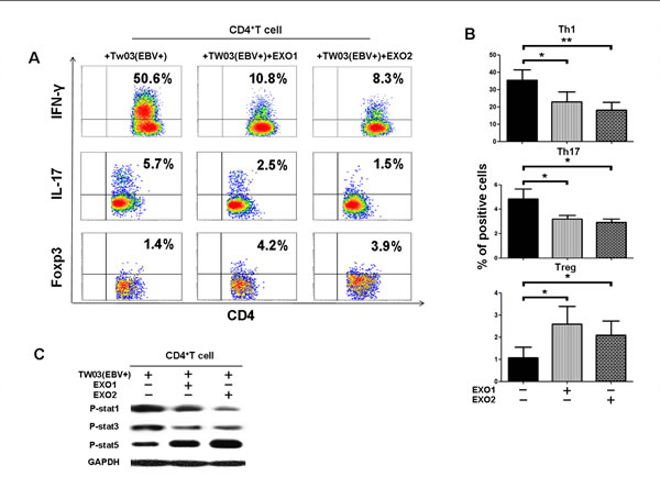 NPC tumor-released exosomes inhibited Th1 and Th17 cell induction but promoted Tregs by altering STAT protein phosphorylation.