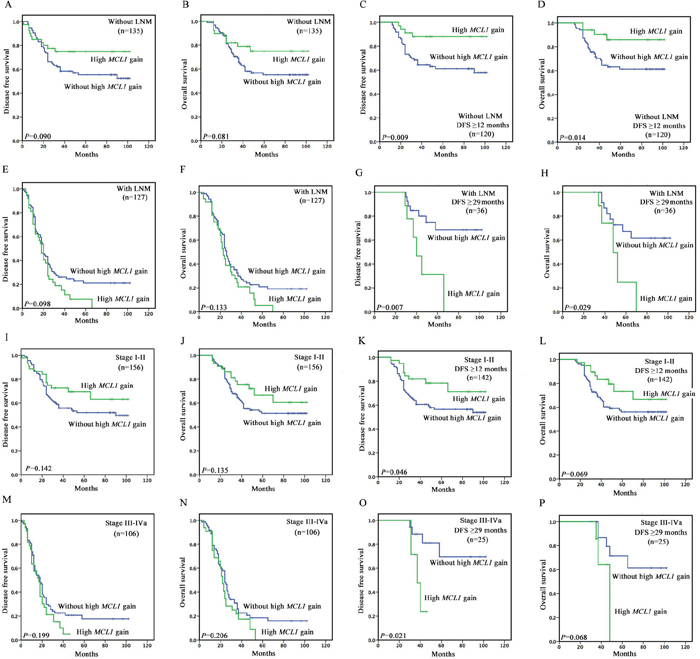 Kaplan&#x2013;Meier survival curves illustrating prognostic effects of high MCL1 gain in different subgroup of ESCC patients.