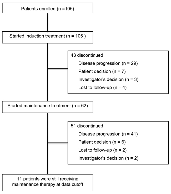 Study profile showing patient registration and numbers of patients who received induction treatment and maintenance therapy.