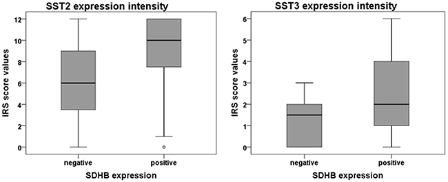 SST2A and SST3 expression intensity in SDHB-negative and -positive paragangliomas.