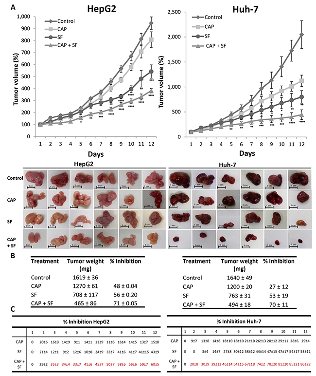 Effect of the combination of sorafenib with capsaicin in a tumor xenograft model.