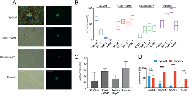 Analysis of purity and recovery rates of different CTC isolation approaches.