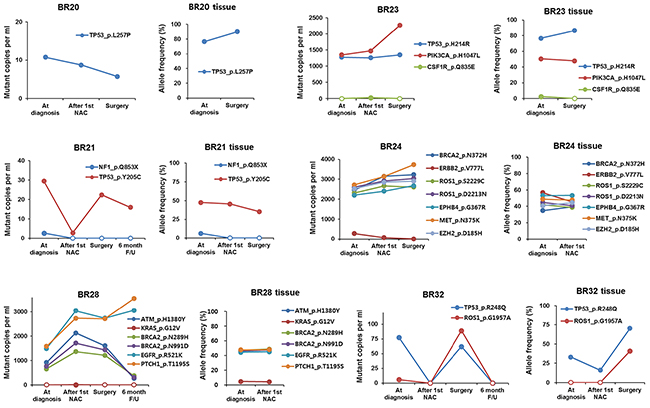 The association between ctDNA amount and allele frequency in tumor biopsy.