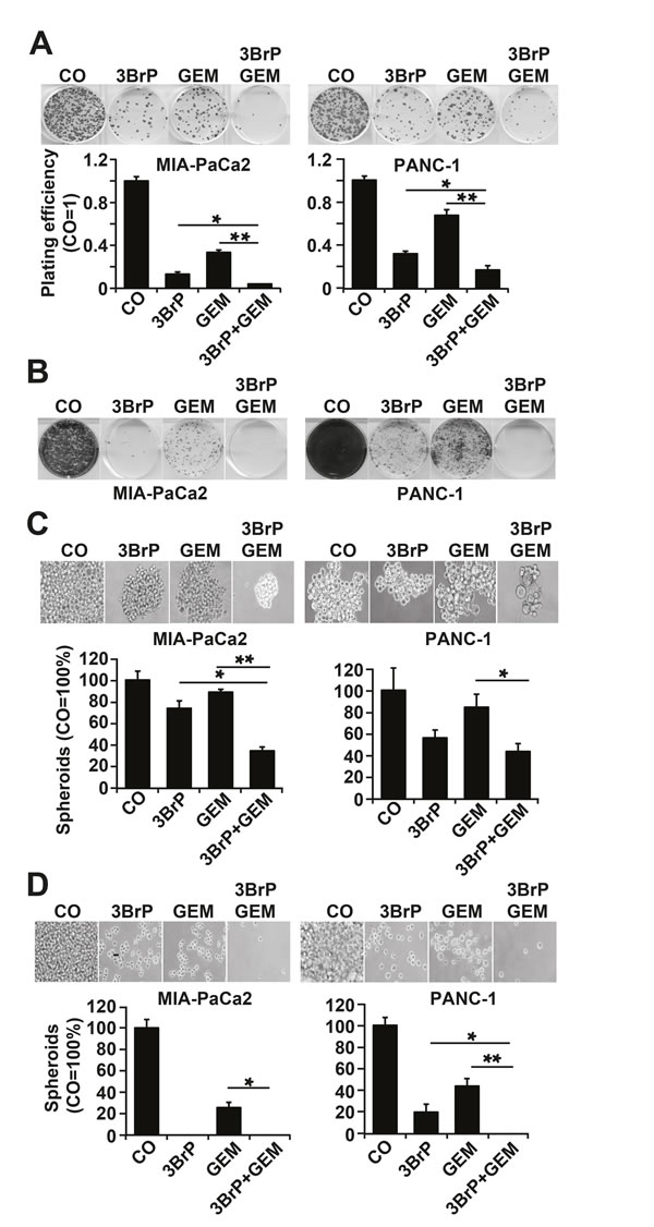 3BrP inhibits colony and spheroid formation.
