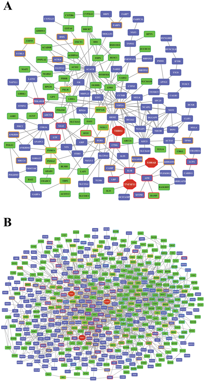 STRING protein-protein interaction networks in the liver of diclofenac treated animals.