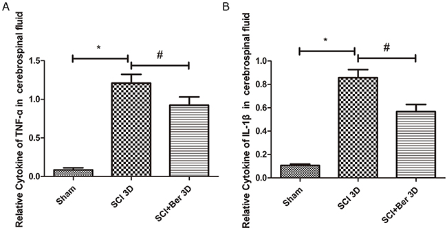 Berberine reduced cytokines of TNF-a and IL-1&#x03B2; at 3 days after SCI in the cerebrospinal fluid.