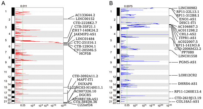 Heatmap of lncRNAs genomic loci copy number variations in RCC.
