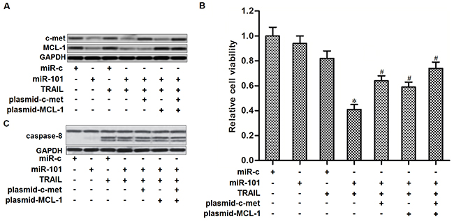 MiR-101 sensitizes TRAIL-induced cell death in TPC-1 by targeting c-met and MCL-1.