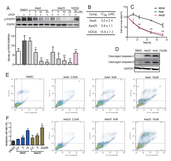 Aea4 and Aea25 inhibited proliferation and induced apoptosis in H460 cells.