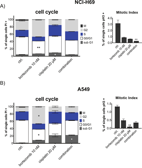 Cell cycle analysis of NCI-H69 and A549 after treatment with bortezomib and cisplatin.